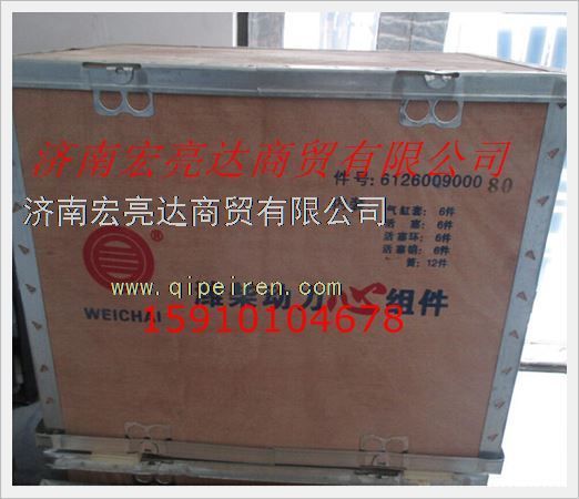 200V01201-0417重汽曼MC11发动机气缸套 200V01201-0417缩略图9