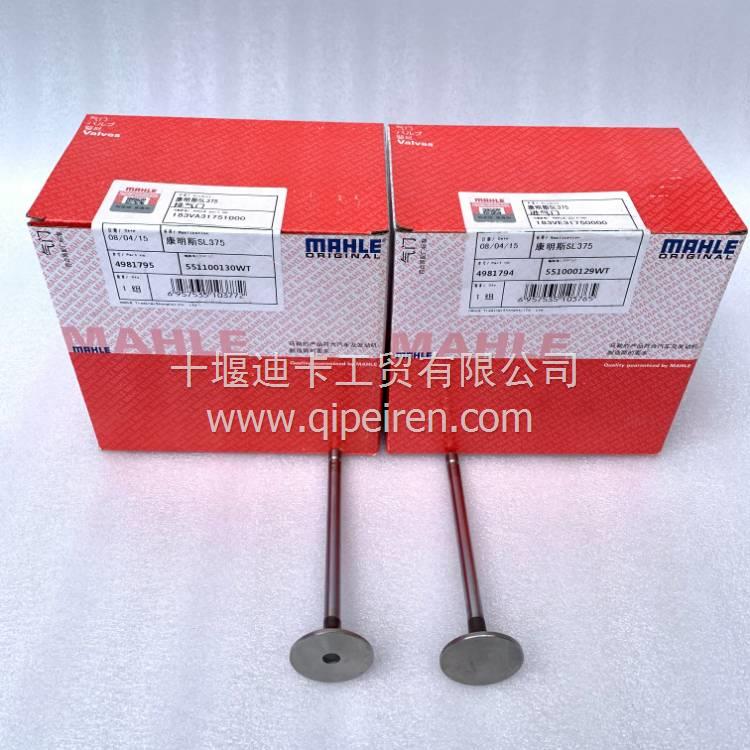 K19柴油发动机推杆 206234 3017961 3331721 3090377 4371927 3090377缩略图5