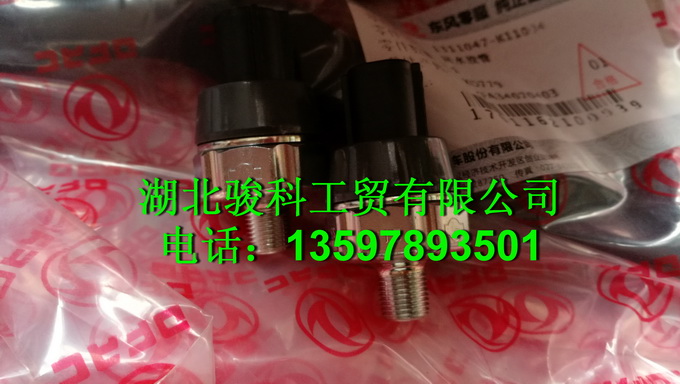东风锐铃D28D10-3D1发动机缸盖1003009-E4100 1003009-E4100缩略图3