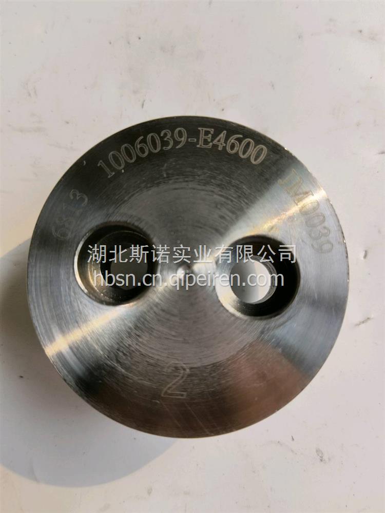 龙擎凸轮轴堕齿轮总成 1006030-E9300