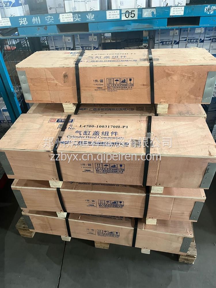 锡柴6DM 气缸盖 Mm500000-PJGG缩略图5
