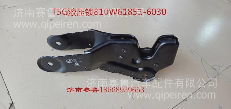 WG2209230005重汽豪沃AMT变速箱电子气缸 WG2209230005缩略图9