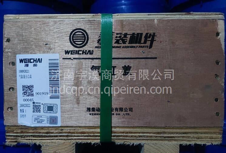 612630040246潍柴原厂发动机配件WP12气缸盖 612630040246缩略图8