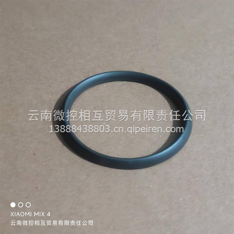 龙擎E9300排气管密封环(厚) 1207121-E9300缩略图7