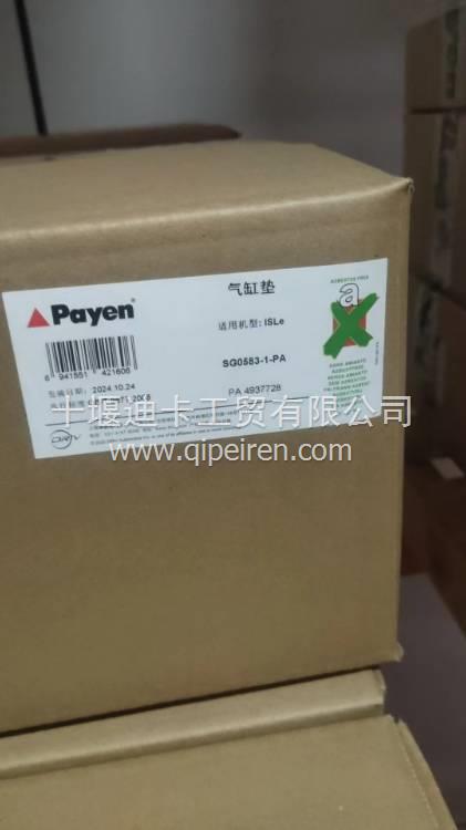 K19柴油发动机推杆 206234 3017961 3331721 3090377 4371927 3090377缩略图7