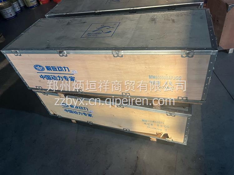 锡柴6DM 气缸盖 Mm500000-PJGG缩略图6
