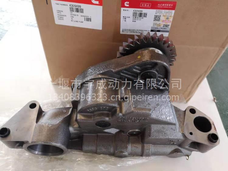 3646323 3639984 K38缸盖总成 K50缸盖总成 CYLINDER HEAD 3640320缩略图2