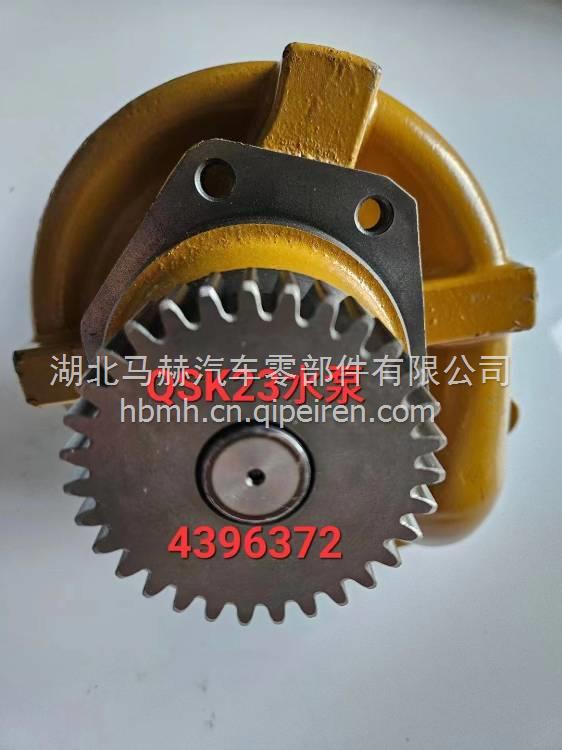 优势供应系列1700发动机修包4900533 4900533缩略图7
