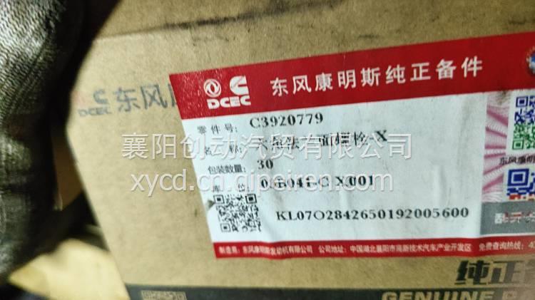 3977221 东风康明斯发动机配件ISDE/ISBE发动机缸盖 3977221缩略图8