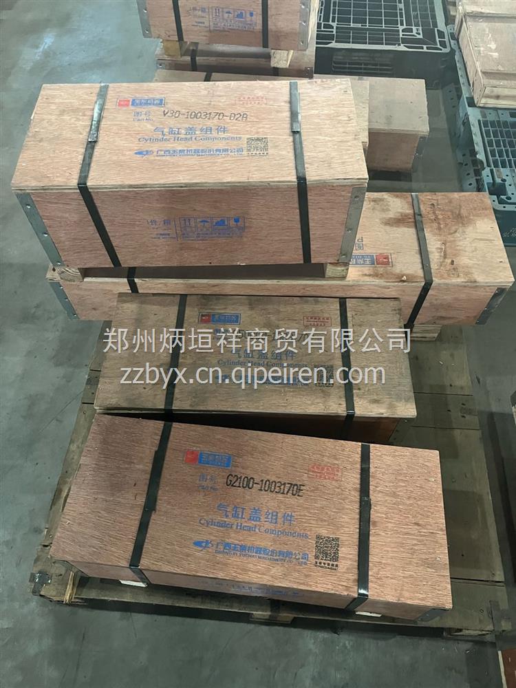 锡柴6DM 气缸盖 Mm500000-PJGG缩略图3