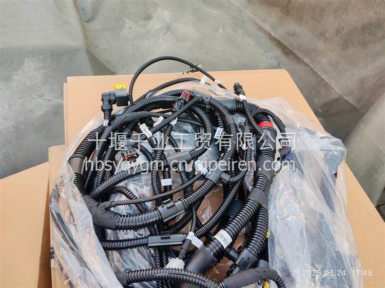 龙擎发动机后端齿轮室 1003121-E9500缩略图8